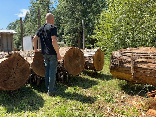 woodworker standing beside old-growth Western Red Cedar logs at Tofino Woodshop